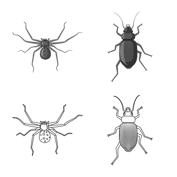 Conception vectorielle du symbole insecte et mouche. Ensemble d'illustration vectorielle de stock d'insectes et d'éléments . — Image vectorielle
