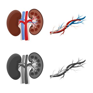 Vücut ve insan simge vektör çizimi. Vücut ve hisse senedi için tıbbi vektör simge kümesi.