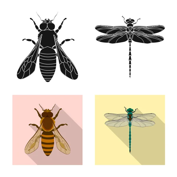 Векторная иллюстрация значка насекомого и мухи. Коллекция символа запаса насекомых и элементов для сети . — стоковый вектор