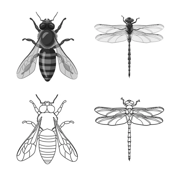 Vektorillustration von Insekten- und Fliegensymbol. Set von Insekten- und Elementvektorsymbolen für Aktien. — Stockvektor