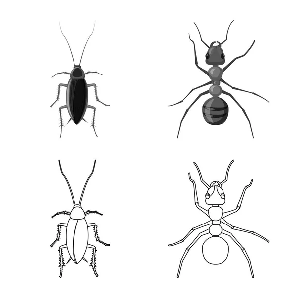 Diseño vectorial del logotipo de insectos y moscas. Conjunto de insecto y elemento stock vector ilustración . — Vector de stock