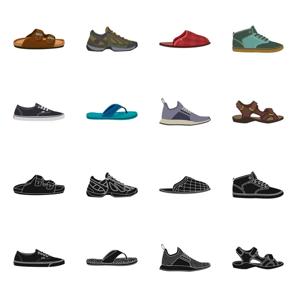 Diseño vectorial del logotipo del zapato y del calzado. Set de zapatos y pies stock vector ilustración . — Vector de stock