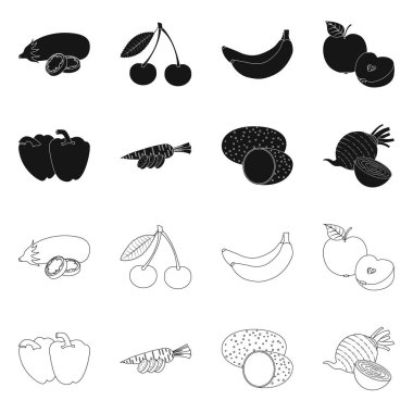 İzole işareti sebze ve meyve nesne. Sebze ve vejeteryan hisse senedi simgesi için web topluluğu.