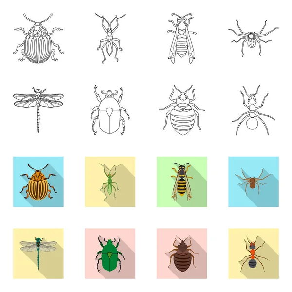 Objeto isolado de inseto e sinal de mosca. Conjunto de ilustração vetorial de estoque de insetos e elementos . — Vetor de Stock