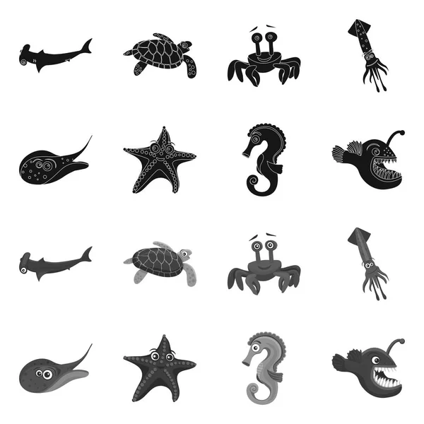 Ilustración vectorial del icono del mar y los animales. Conjunto de ilustración de vectores marinos y marinos . — Vector de stock