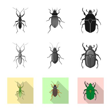 Böcek ve sinek sembolü yalıtılmış nesne. Web için böcek ve öğe hisse senedi simgesi kümesi.