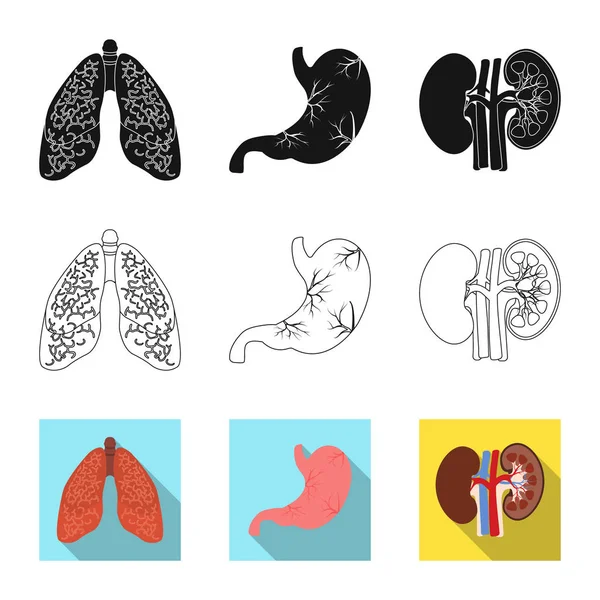 Illustration vectorielle du corps et du signe humain. Ensemble d'illustration vectorielle du corps et du stock médical . — Image vectorielle