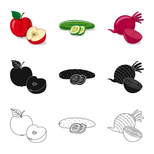 Ilustración vectorial de signo vegetal y frutal. Colección de icono de vector vegetal y vegetariano para stock . — Vector de stock