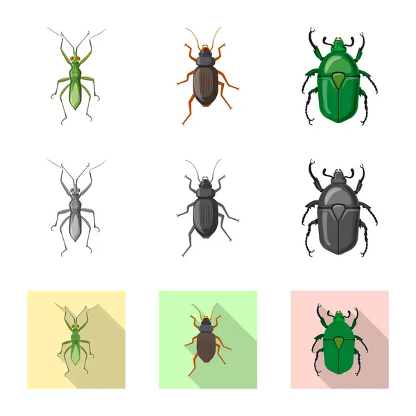 Diseño vectorial del icono de insectos y moscas. Colección de insectos y elemento vector icono para stock . — Vector de stock