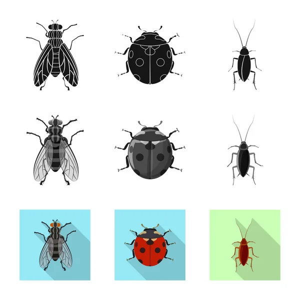 Vector ontwerp van insecten en vliegen symbool. Set insect en element voorraad vectorillustratie. — Stockvector