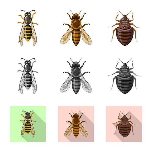 Objeto aislado del logotipo de insectos y moscas. Colección de insectos y vector de stock de elementos ilustración . — Vector de stock