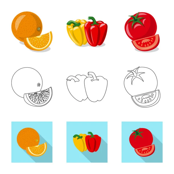 Vektorillustration des Gemüse-Obst-Symbols. Set von pflanzlichen und vegetarischen Aktiensymbolen für das Web. — Stockvektor