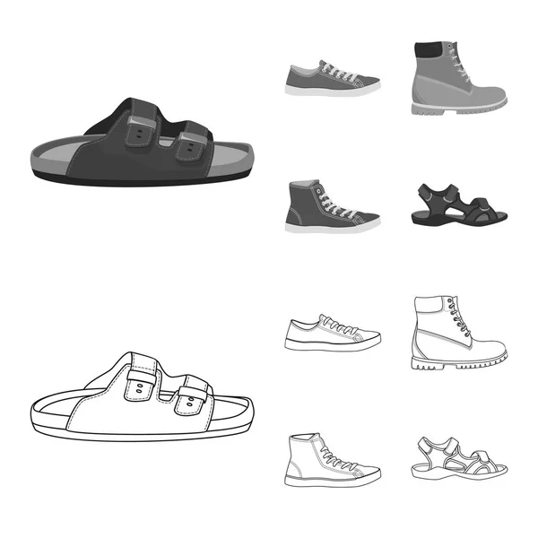 Vektor design av sko och skodon symbol. Samling av skon och foten lager vektorillustration. — Stock vektor