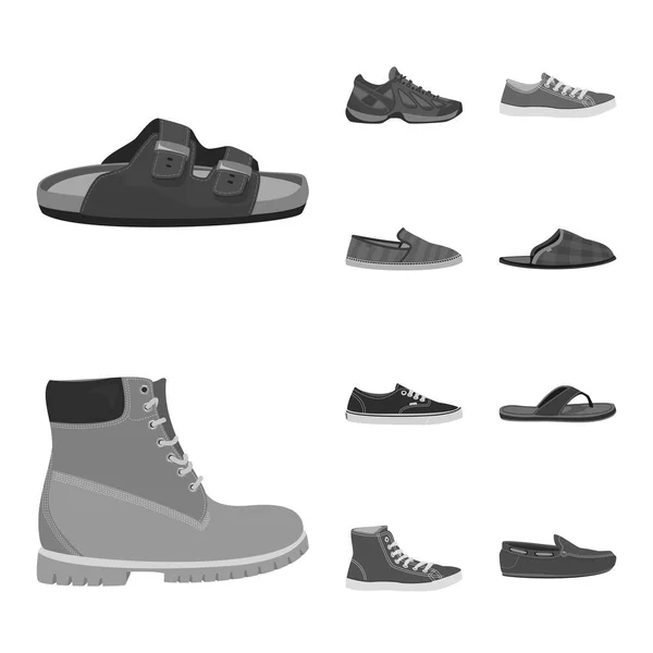 Vector design of shoe and footwear symbol. Collection of shoe and foot stock vector illustration. — Stock Vector