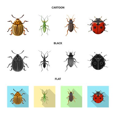 Böcek ve sinek işareti vektör tasarımı. Böcek ve öğe hisse senedi vektör çizim topluluğu.