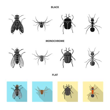 Böcek ve sinek logo vektör Illustration. Böcek ve öğe hisse senedi vektör çizim seti.