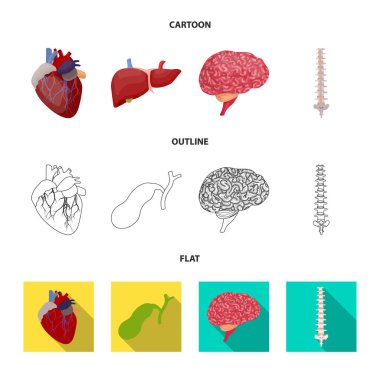 Vücut ve insan simge vektör Illustration. Vücut ve hisse senedi için tıbbi vektör simge kümesi.