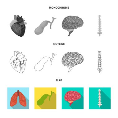 Vücut ve insan simge vektör çizimi. Vücut ve hisse senedi için tıbbi vektör simge kümesi.