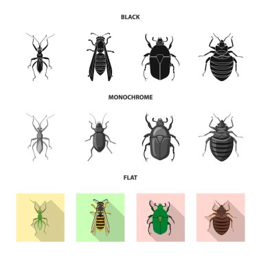 Böcek ve sinek simge vektör tasarımı. Böcek ve öğe hisse senedi vektör çizim topluluğu.