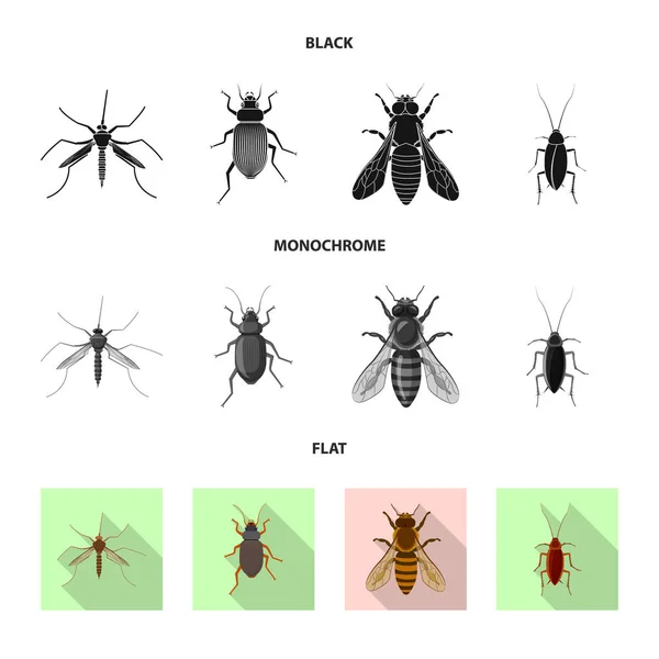곤충 및 비행 상징의 벡터 그림입니다. 웹에 대 한 곤충과 요소 주식 기호 모음. — 스톡 벡터