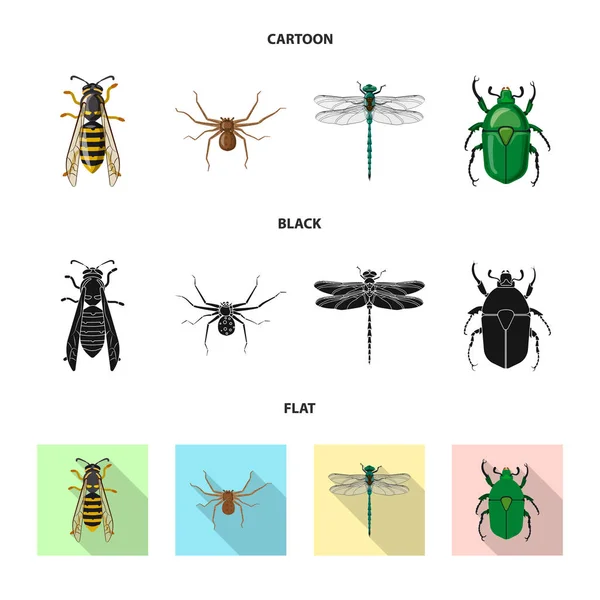 Vektorillustration von Insekten- und Fliegensymbol. Sammlung von Insekten- und Elementaktivvektordarstellungen. — Stockvektor