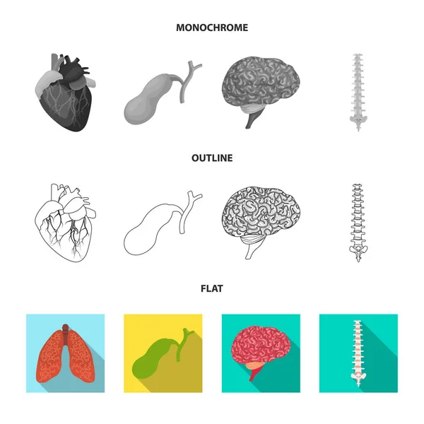 Ilustracja wektorowa i symbol ludzkiego ciała. Zestaw ciała i medycznych wektor ikona na magazynie. — Wektor stockowy