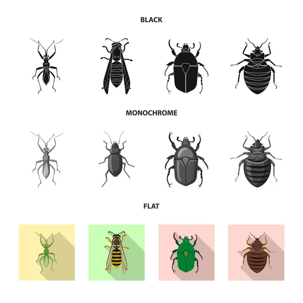 Векторная конструкция символа насекомого и мухи. Коллекция векторных иллюстраций насекомых и элементов . — стоковый вектор