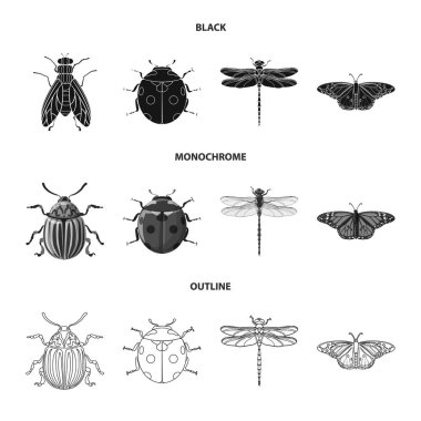 Böcek ve sinek simge vektör Illustration. Web için böcek ve öğe hisse senedi simgesi kümesi.