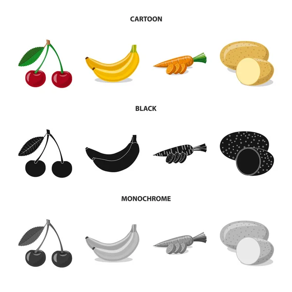 Ilustración vectorial de signo vegetal y frutal. Colección de vegetales y vegetarianos símbolo de stock para la web . — Archivo Imágenes Vectoriales