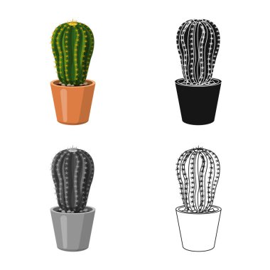 Kaktüs ve pot sembolü yalıtılmış nesne. Kaktüs ve kaktüsler koleksiyonu stok web simgesi.