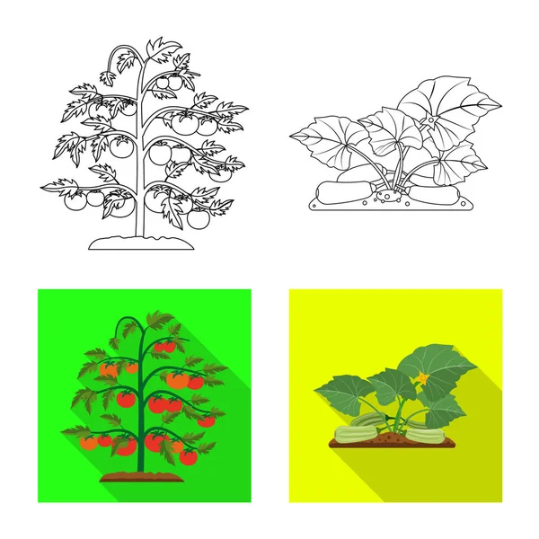 Diseño vectorial del logotipo de invernadero y planta. Colección de icono de vector de invernadero y jardín para stock . — Vector de stock