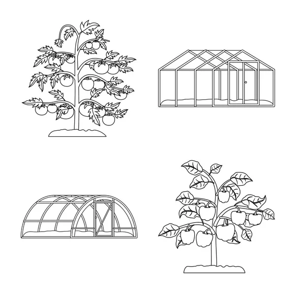 Векторный дизайн логотипа теплицы и растения. Набор векторных иллюстраций для теплиц и садов . — стоковый вектор