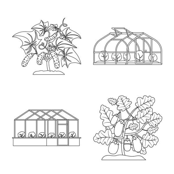 Vector εικονογράφηση του σημείου του θερμοκηπίου και των φυτών. Σύνολο του θερμοκηπίου και κήπο σύμβολο μετοχής για το web. — Διανυσματικό Αρχείο