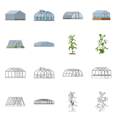 Vector illustration of greenhouse and plant sign. Collection of greenhouse and garden stock vector illustration. clipart
