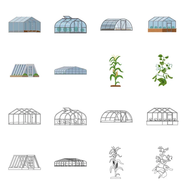 Illustrazione vettoriale di serra e pianta segno. Raccolta di illustrazioni vettoriali su serra e giardino . — Vettoriale Stock