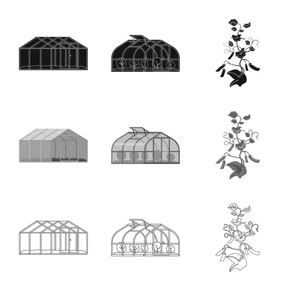 Ilustração vetorial do logotipo da estufa e da planta. Coleção de estufa e jardim estoque vetor ilustração . — Vetor de Stock