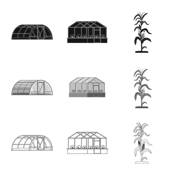 Ilustração vetorial de estufa e símbolo de planta. Coleção de estufa e jardim símbolo de estoque para web . —  Vetores de Stock