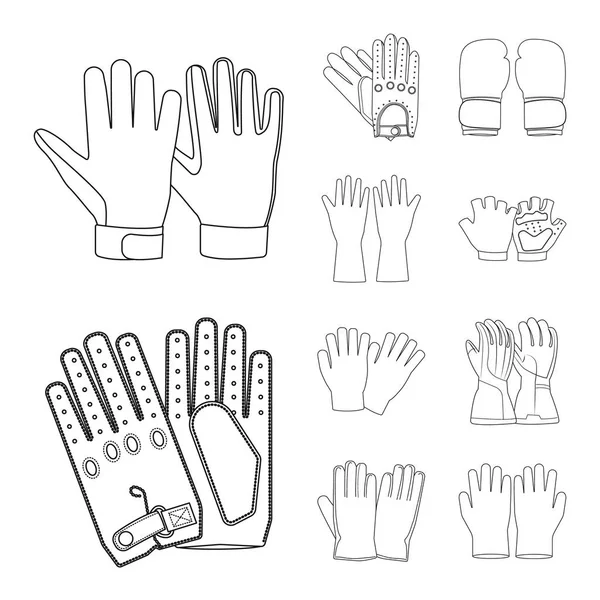 Vektor-Design von Handschuhen und Wintersymbol. Set von Handschuhen und Ausrüstung Vektor-Symbol für Lager. — Stockvektor