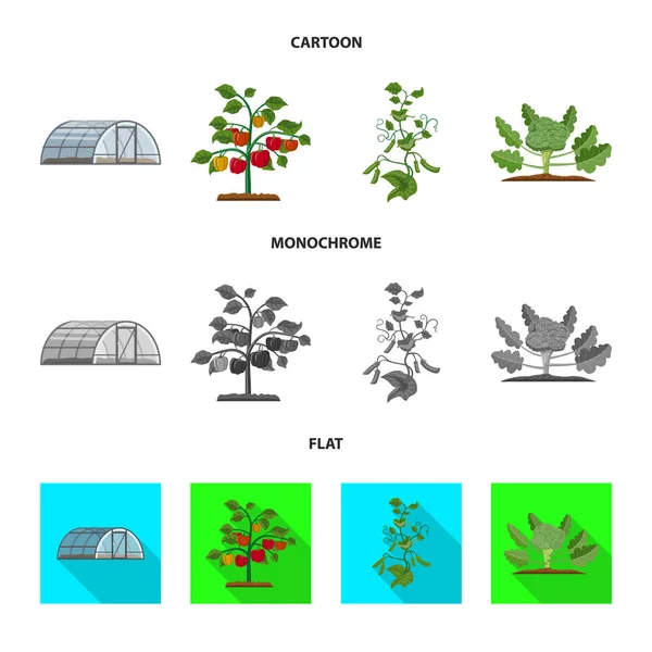 Na białym tle obiekt znak cieplarnianych i roślin. Zestaw cieplarnianych i ogród Stockowa ilustracja wektorowa. — Wektor stockowy