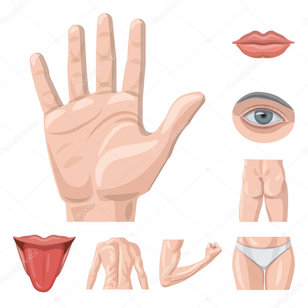 Vector design of human and part sign. Set of human and woman stock vector illustration.