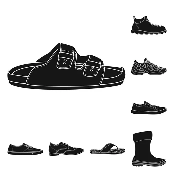 Isolated object of shoe and footwear icon. Set of shoe and foot stock vector illustration. — Stock Vector