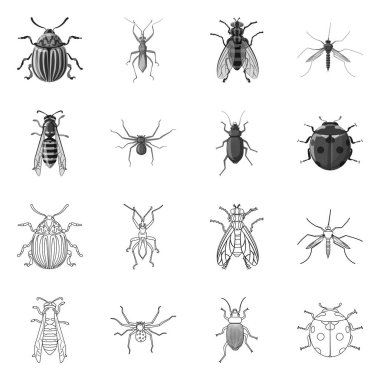 Böcek ve sinek işareti vektör tasarımı. Hisse senedi için böcek ve öğe vektör simge kümesi.