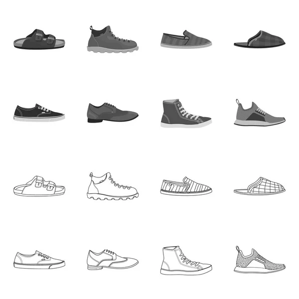 Isolado objeto de sapato e calçado ícone. Coleção de calçado e pé ilustração vetor estoque . — Vetor de Stock