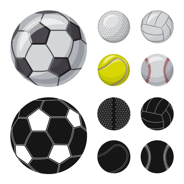 Ilustración vectorial del deporte y el símbolo de pelota. Conjunto de deporte y el icono del vector deportivo para la acción . — Vector de stock