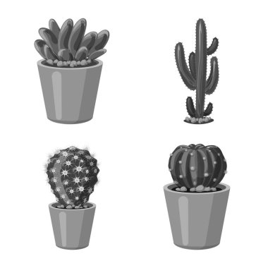 Kaktüs ve pot işareti yalıtılmış nesne. Kaktüs ve kaktüsler koleksiyonu vektör hisse senedi simgesi.