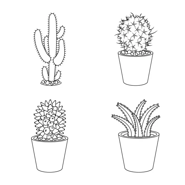 Diseño vectorial de cactus y pote símbolo. Colección de cactus y cactus símbolo de stock para web . — Archivo Imágenes Vectoriales