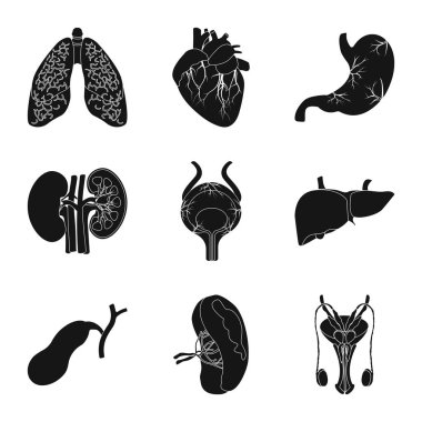 Vücut ve insan işareti yalıtılmış nesne. Vücut ve hisse senedi için tıbbi vektör simge kümesi.