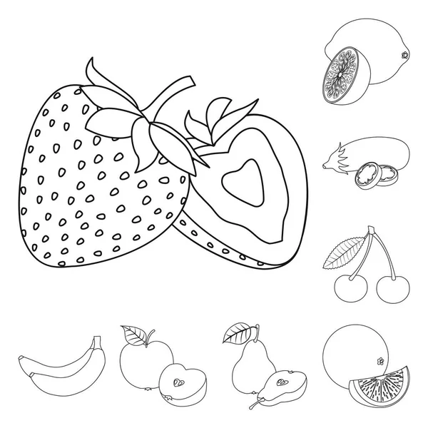 Изолированный объект растительного и фруктового знака. Коллекция вегетарианских векторных иллюстраций . — стоковый вектор