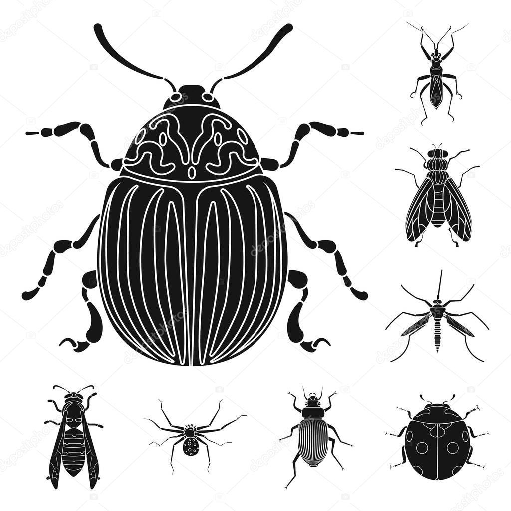 Isolated object of insect and fly sign. Collection of insect and element stock vector illustration.