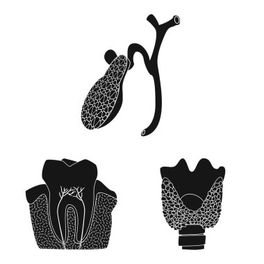 Vücut ve insan simge vektör tasarımı. Vücut ve tıbbi hisse senedi vektör çizim koleksiyonu.